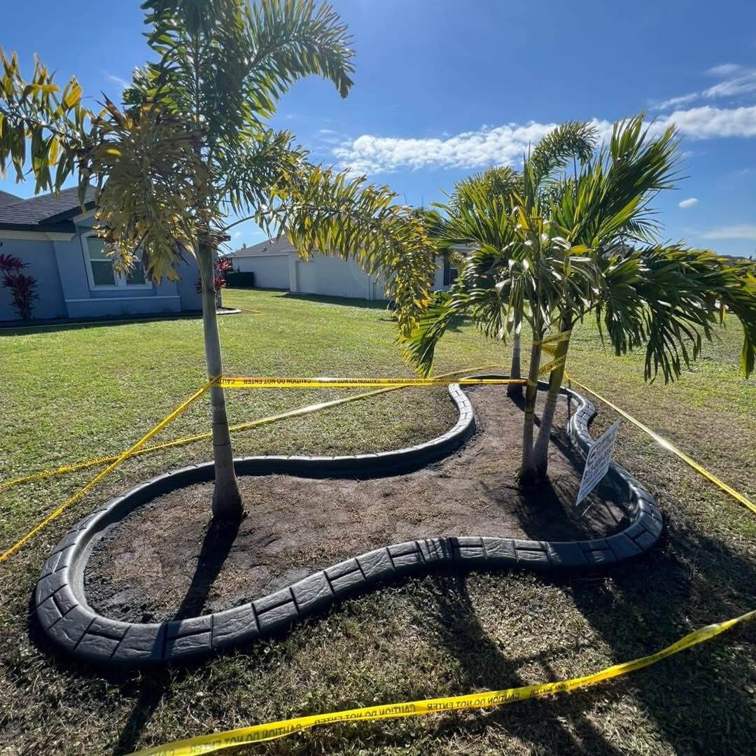 Black stamped concrete landscape curbing around palm trees in Toano Virginia